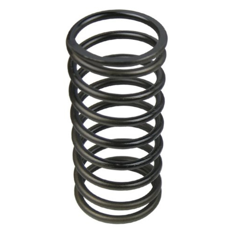 VTT Black Tial BOV Spring